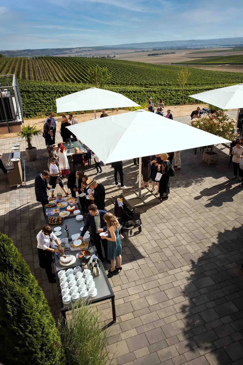 Blick auf die Terrasse des Hofguts Donnersberg mit Sonnenschirmen und Weinbergen