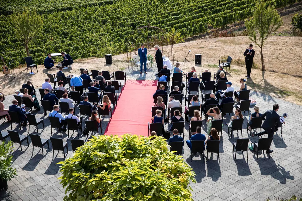 Freie Trauung im Weinberg von oben: Gäste auf Stuhlreihen, ein roter Teppich zum Brautpaar